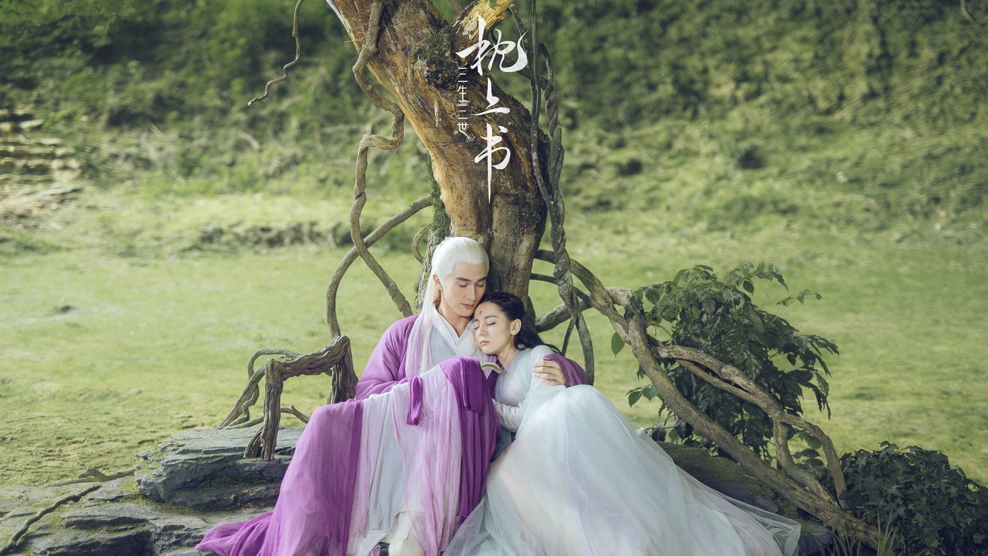 扭转之翼与孤高之花，亚洲羽坛的双面叙事