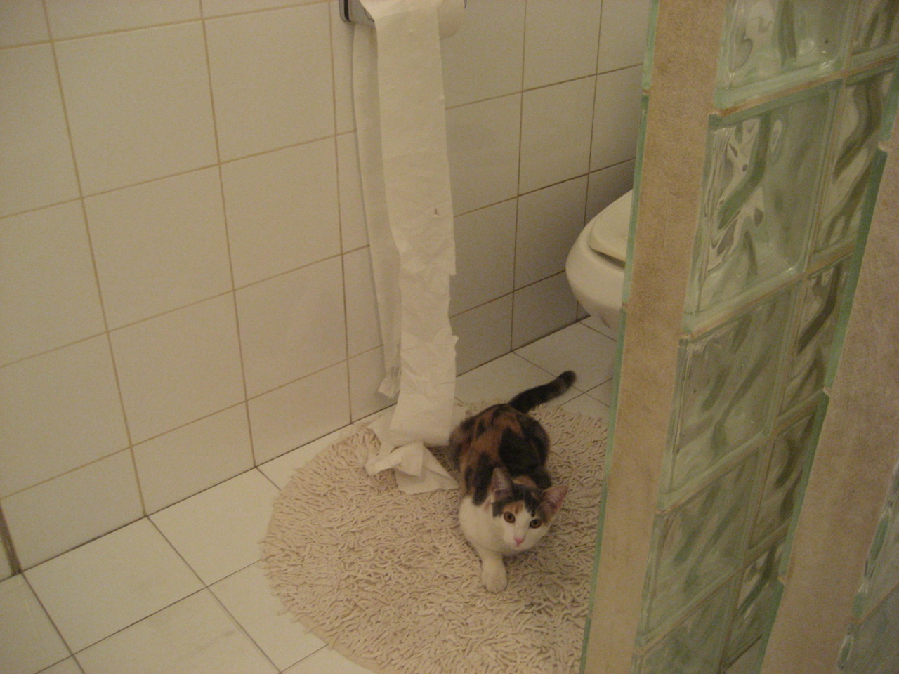 硬地王者的红土宣言，梅德韦杰夫关键制胜如何让美网气质碾压蒙特卡洛传统