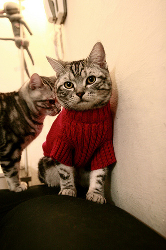 勒沃库森以精密机器碾碎尼斯,却难掩李刚仁这把锋利匕首的光芒