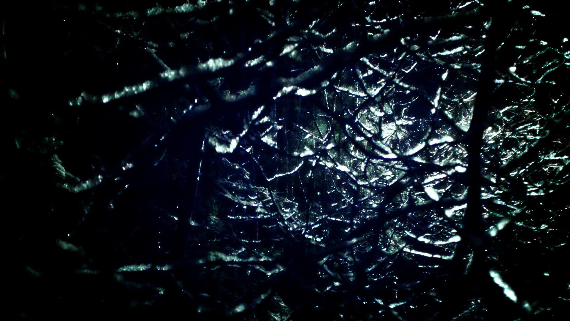 方向盘后的狙击手,当布伦森在F1新赛季揭幕战接管比赛