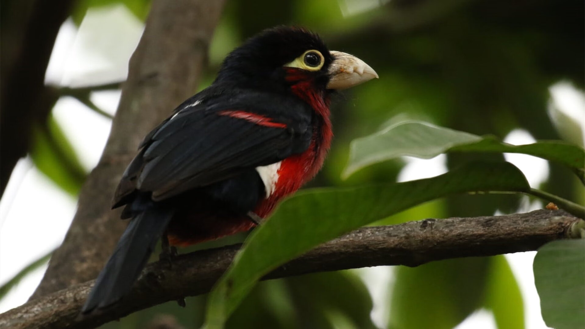 爱游戏在线-扩展思维后拟定的文章标题