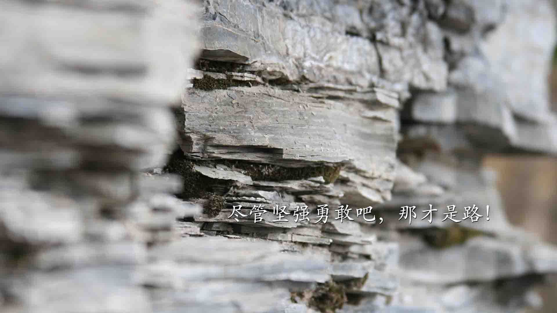 魔术之夜，杰伦·格林如何用不可能的表演击落太阳