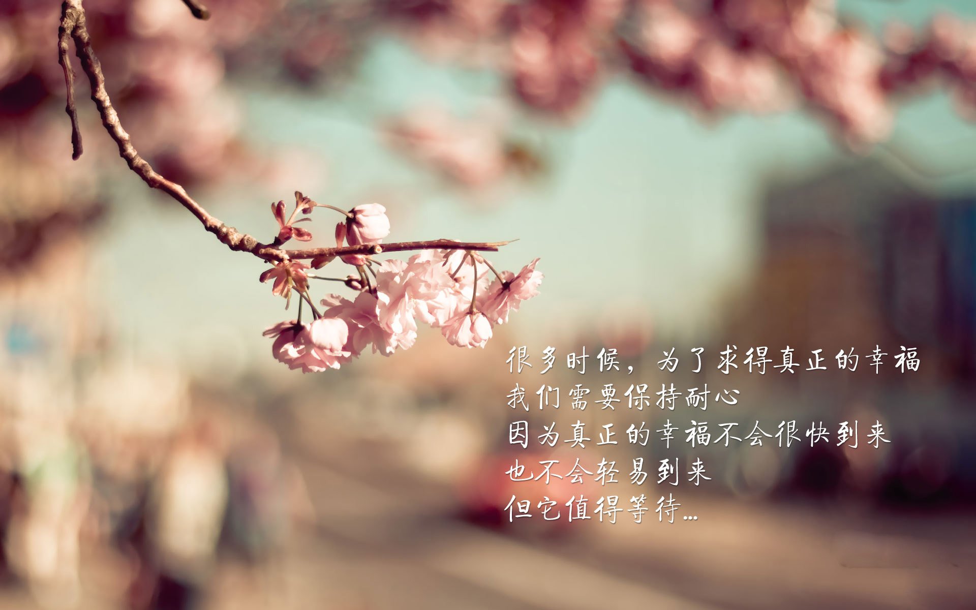 当三笘薰的右脚成为东决抢七的加时赛，一场跨维度评分的体育诗学