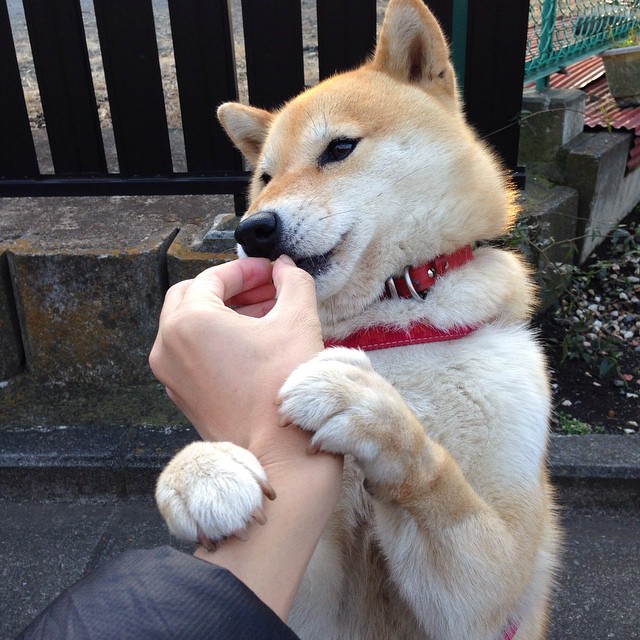 冰火淬刃，爱德华兹的十一连斩与独行侠的窒息时刻