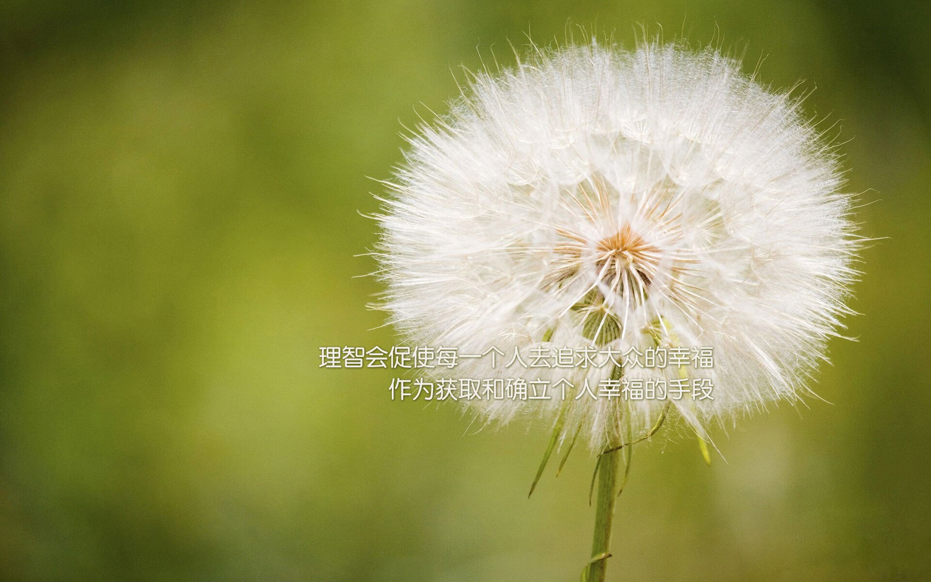2026世界杯H组生死战,巴西逆转斯洛伐克,范戴克完成致命一击—橙衣军团的救赎与桑巴军团的悲情一夜