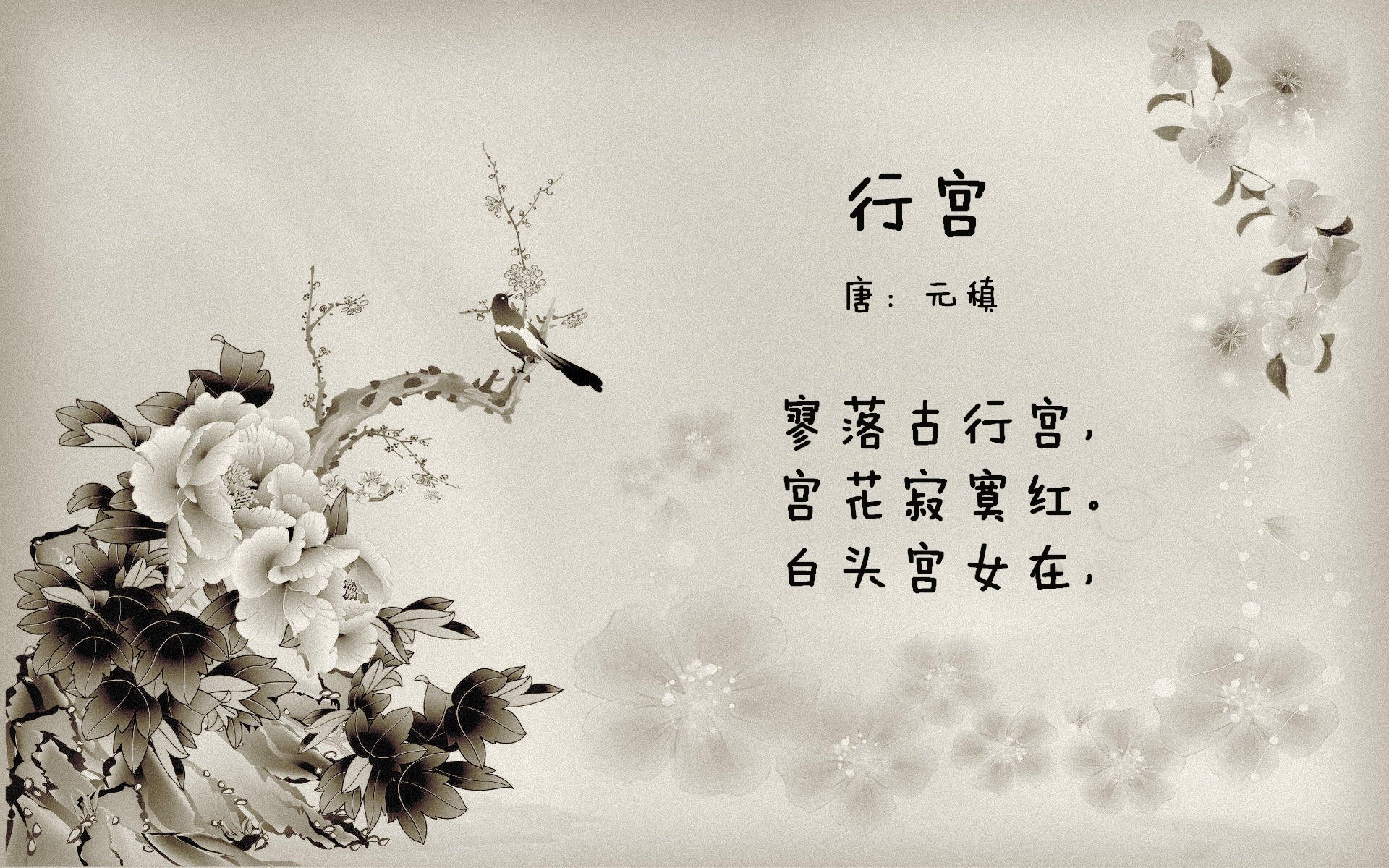 致命弯道,萨内独舞撕裂东欧铁幕,阿根廷在出线生死战中淬火重生